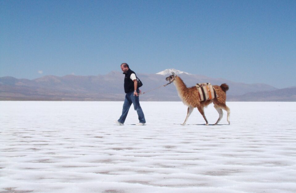 Pristine camps, Salinas Grandes, Argentina