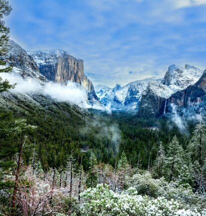 Yosemite National Park