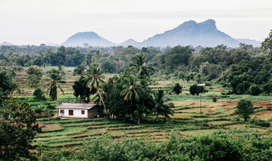 Gal Oya, East Coast, Sri Lanka