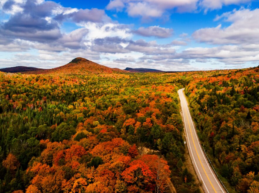 Autumnal colours of Québec - GETTY