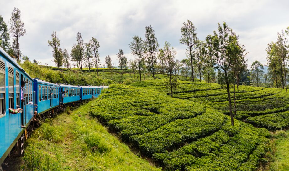 Hill Country, Sri Lanka