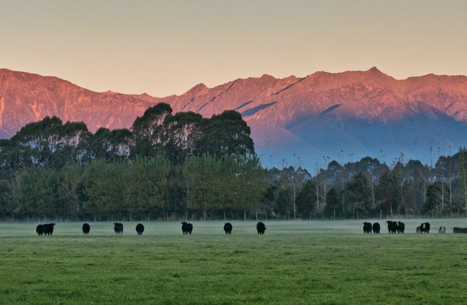 Cabot Lodge, Te Anau, New Zealand