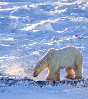 Churchill, Manitoba, Canada
