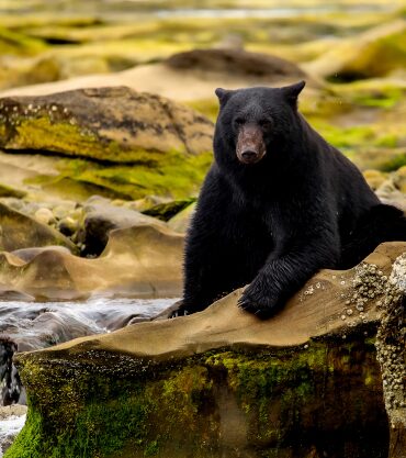 British Columbia