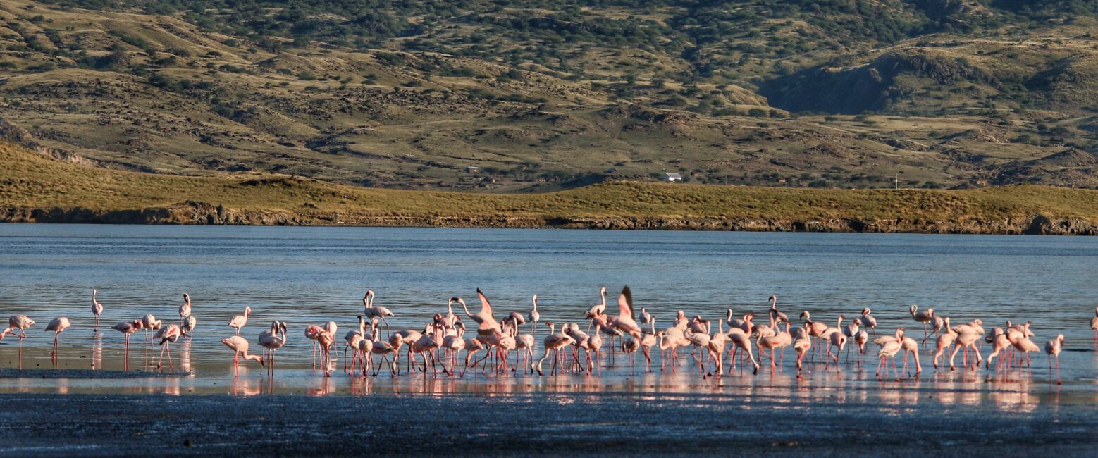 lake Natron, Tanzania