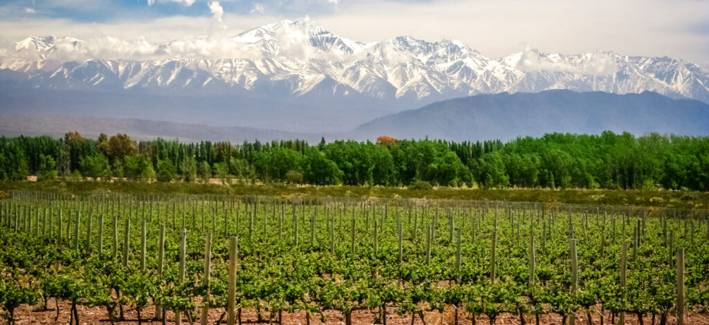 Top Trips in Latin America: Hidden Gems to Iconic Wonders