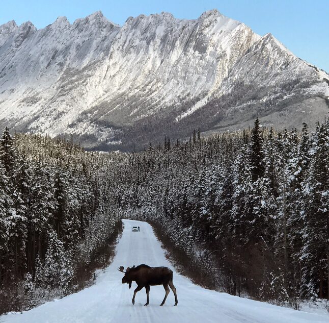 Jasper, Alberta, Canada