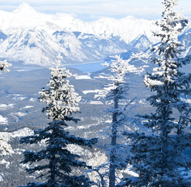 Sulphur Mountain, Banff National Park, Alberta, Canada