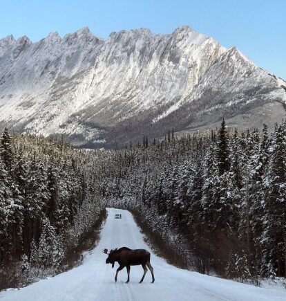 Jasper, Alberta, Canada