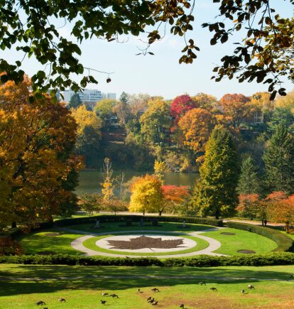 Toronto High Park, Ontario, Canada