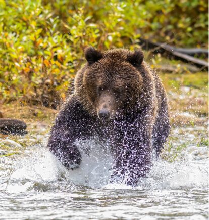 British Columbia, Canada