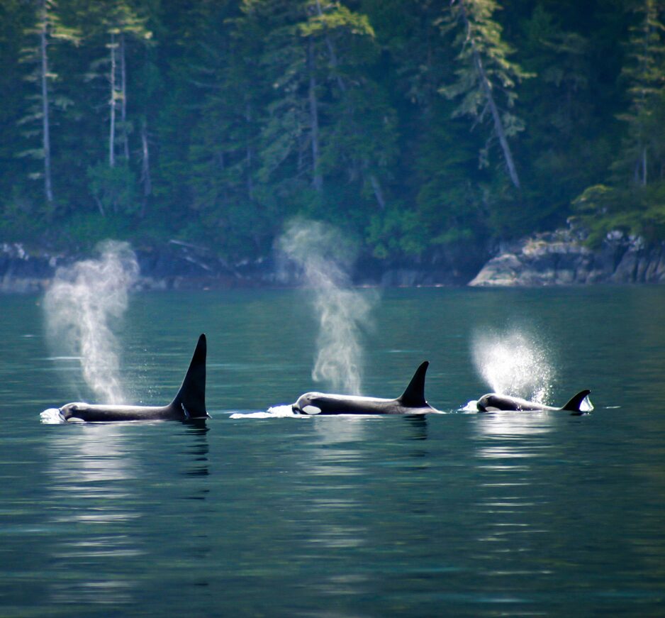 Vancouver Island, British Columbia, Canada