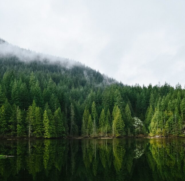 Vancouver Island, British Columbia, Canada