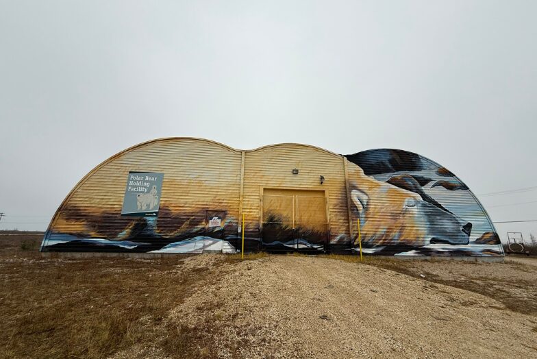 The bear jail in Churchill