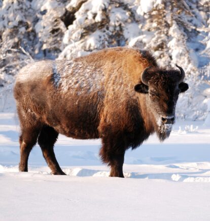 Northwest Territories, Canada