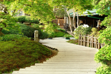 Hidatei Hanaougi Ryokan, Takayama