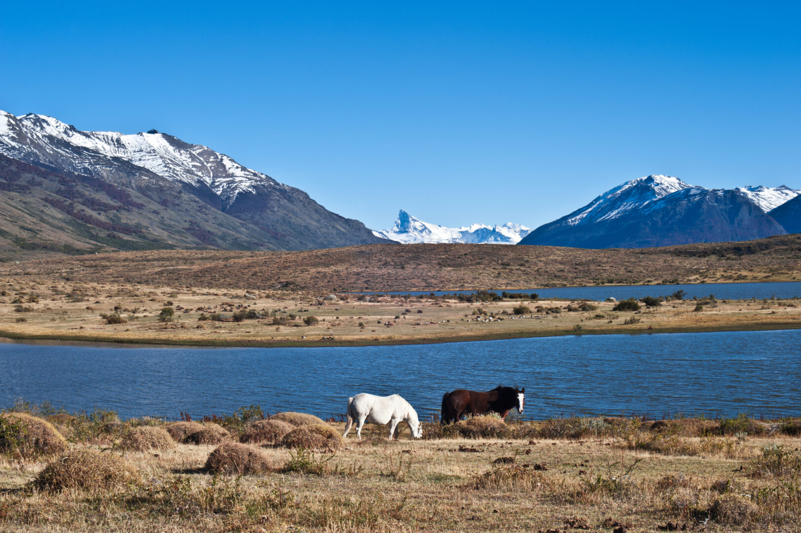 horses in patagonia, best places to go in February.