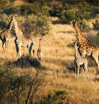Omaanda, Namibia