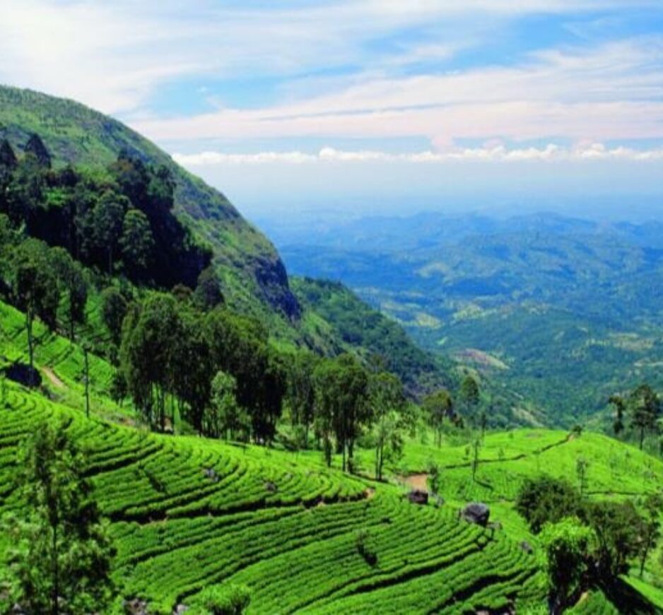 Hill Country, Sri Lanka