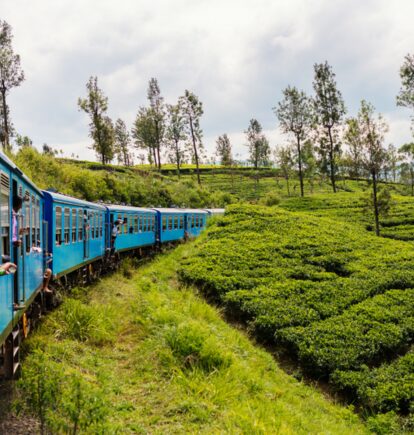 Hill Country, Sri Lanka