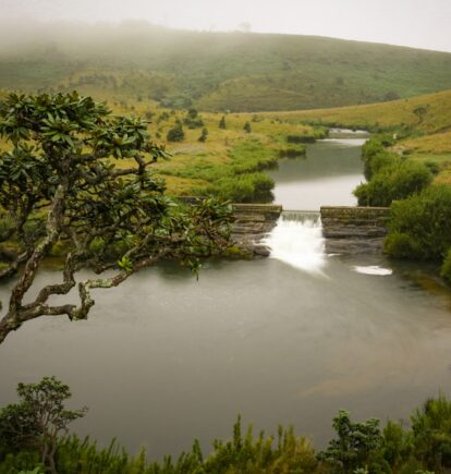 Hill Country, Sri Lanka