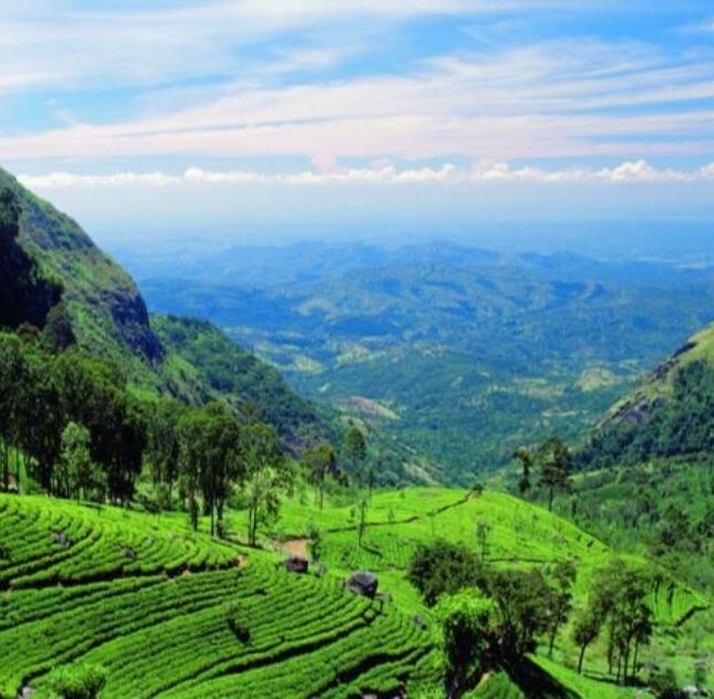Hill Country, Sri Lanka