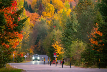 Self-drive, Canada
