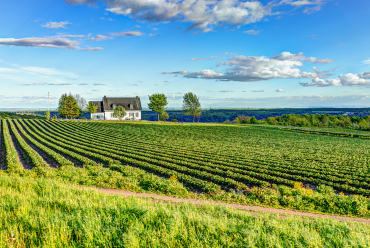 Île d'Orléans, Québec