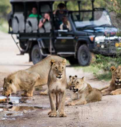 Little Ongava, Etosha Private Reserves