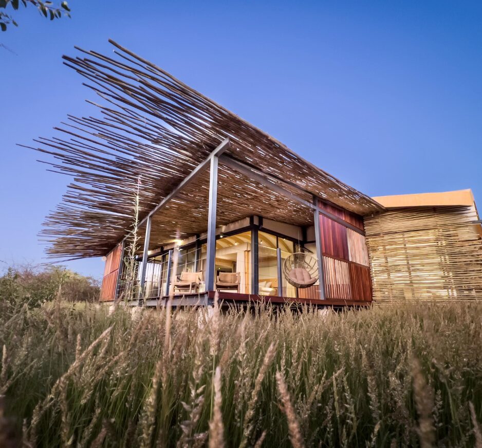 Anderssons Camp, Ongava