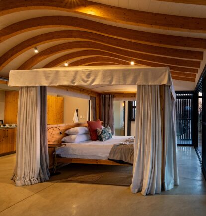 Anderssons Camp, Ongava