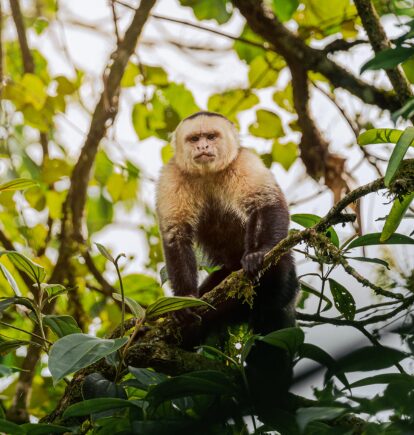 Arenal National Park, Costa Rica