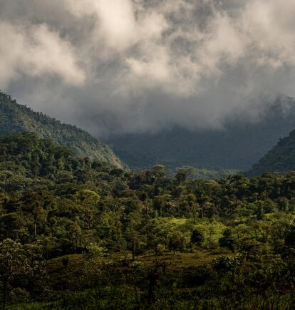 Central Valley, Costa Rica