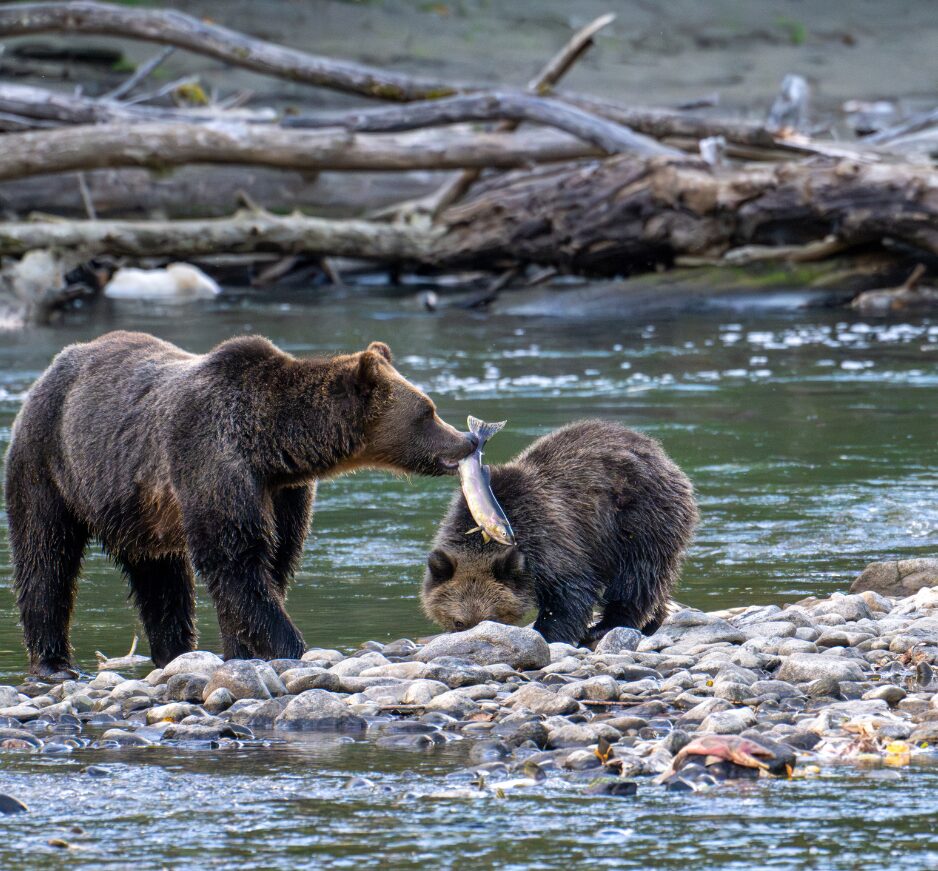 Bella Coola, British Columbia