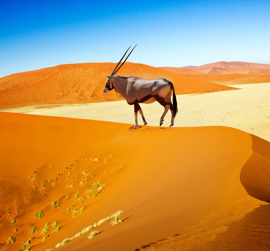 Sossusvlei, Namibia