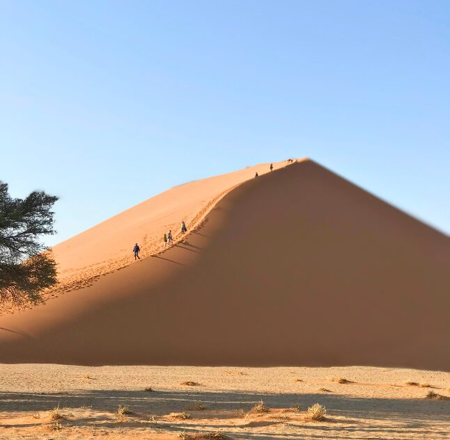 Big Daddy Dune, Sossusvlei