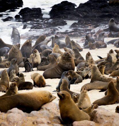Skeleton Coast, Namibia