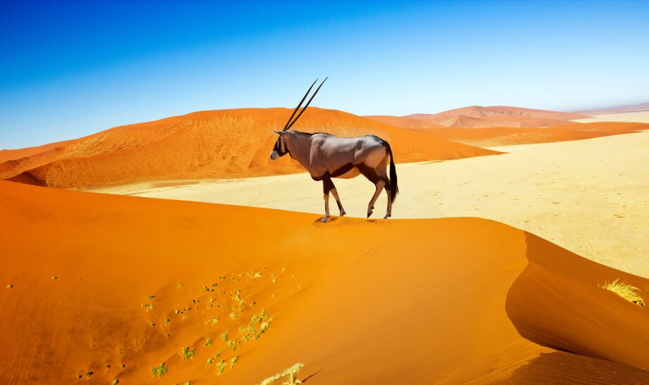 Sossusvlei, Namibia