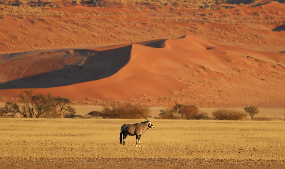 Sossusvlei, Namibia