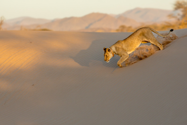 Skeleton coast, Namibia