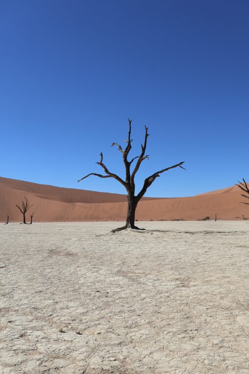Deadvlei, Namibia