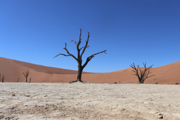 Deadvlei, Namibia