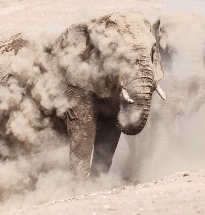 Damaraland, Namibia