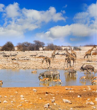 Etosha National Park, Namibia
