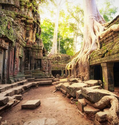 Ta Phrohm, Siem Reap, Cambodia