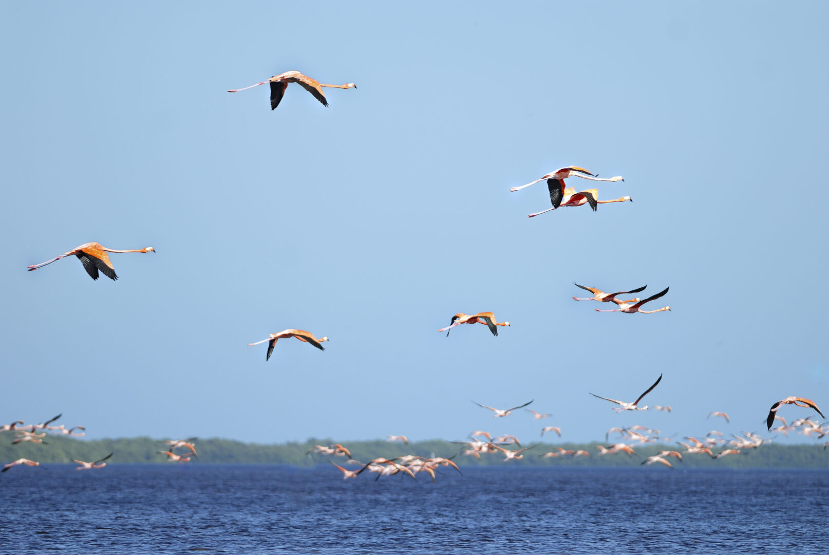 birds in Morocco, best places to visit in March