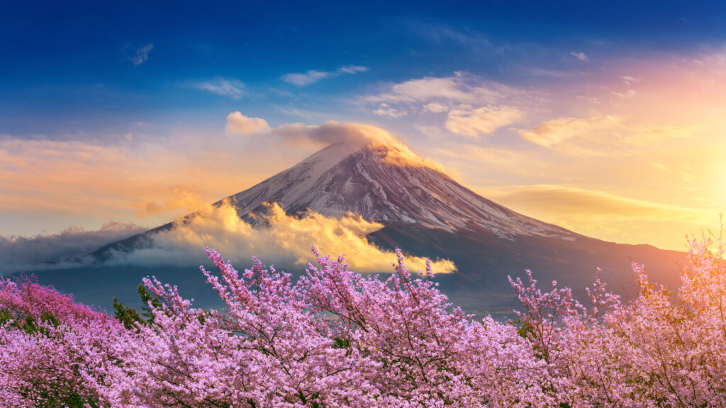 Romantic places to go in Japan, Mount Fuji and cherry blossoms