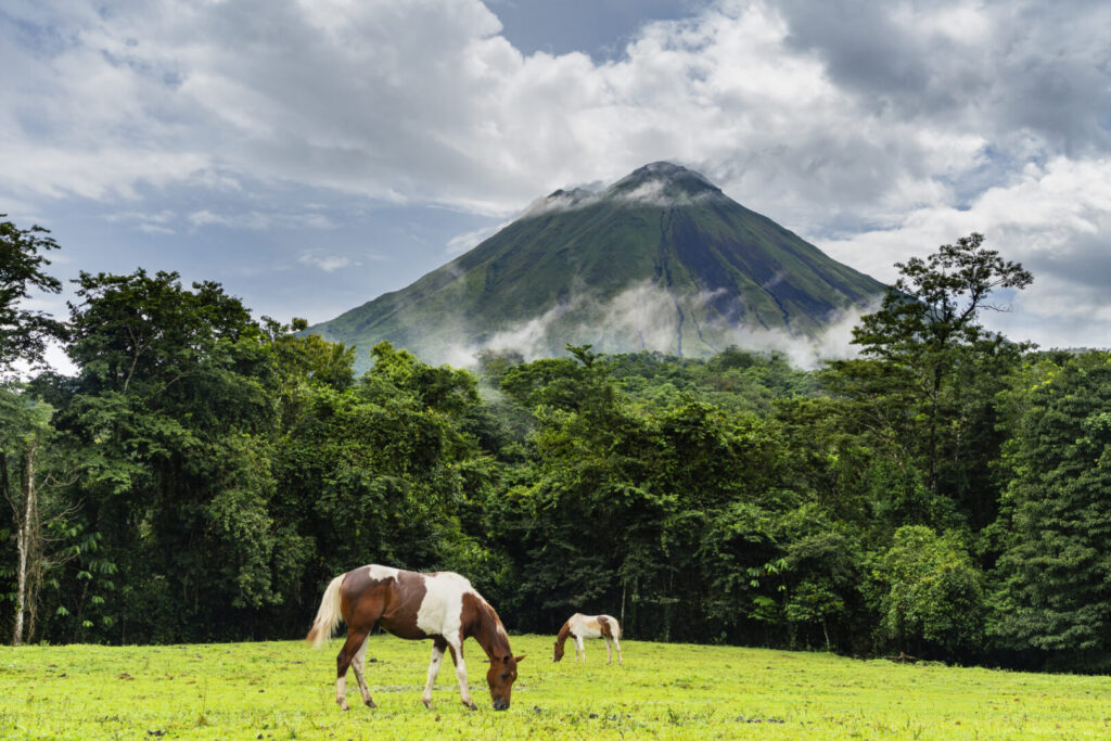 Family Holiday with horses to Arenal Volcano in Costa Rico