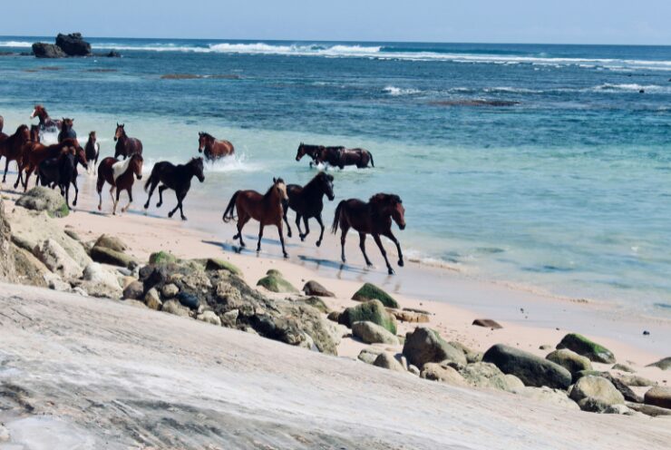 Sumba, Indonesia