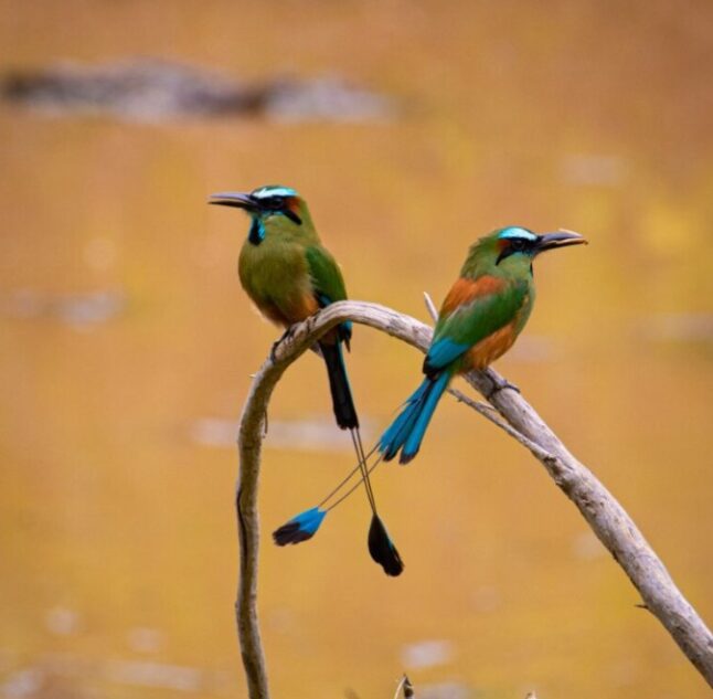 Rancho Santana, Emerald Coast, Nicaragua